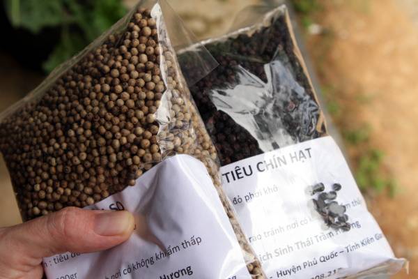 gift peppercorn. What to buy in Vietnam, food gift