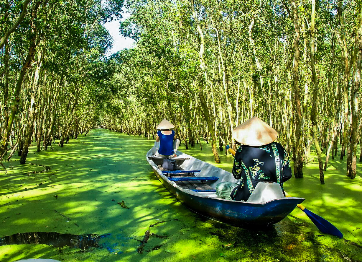 Mekong delta Tra Su forest
