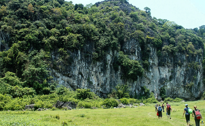 cat ba island butterfly valley