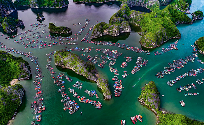 cat ba island floating village