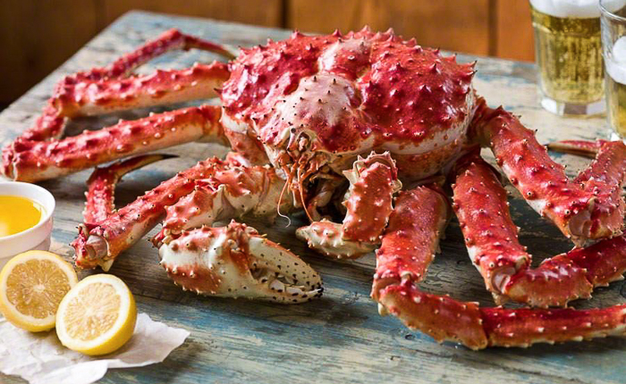 cat ba island king crab