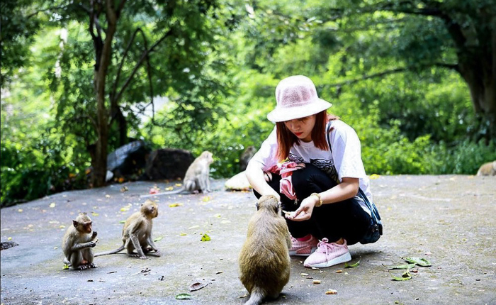 cat ba island monkey island