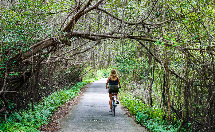 cat ba island cycling