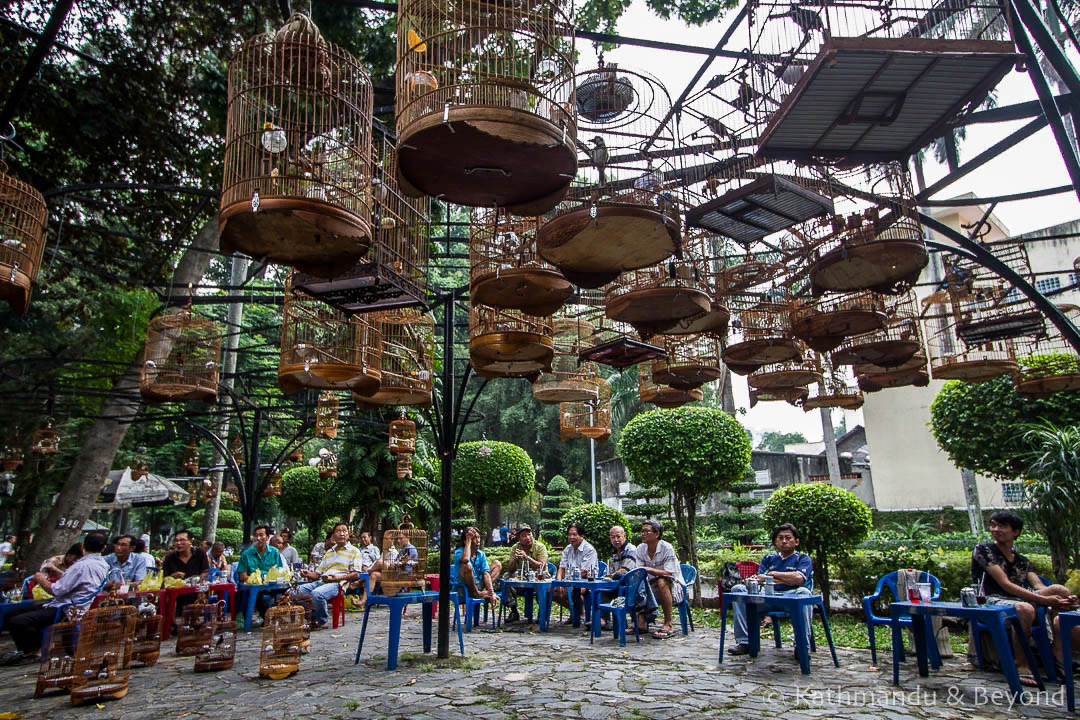 Discovering secret cafes is one of the top things to do in Hanoi