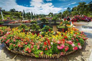 Dalat Flower Garden