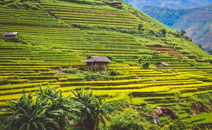 Mu Cang Chai - Best places to visit in Vietnam in September
