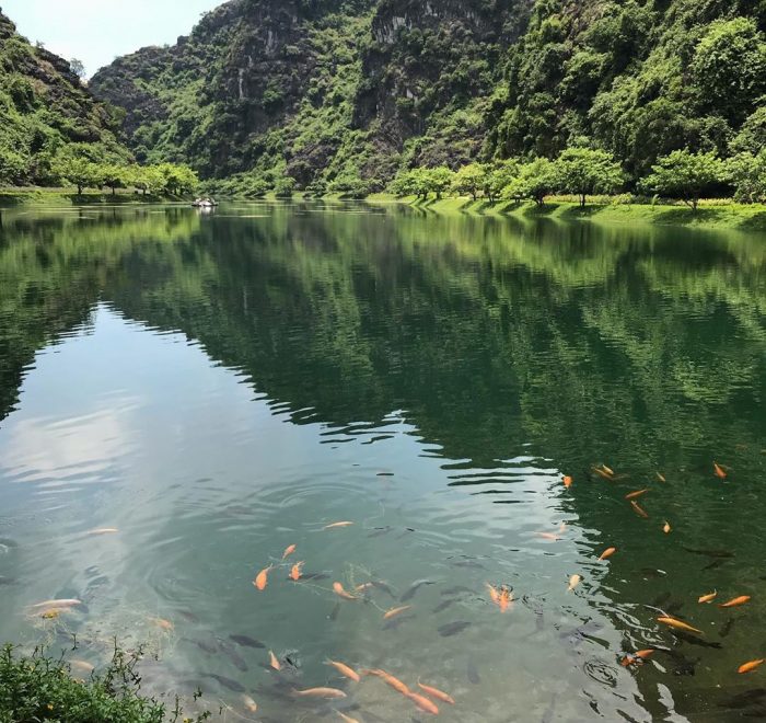 am tien cave ninh binh