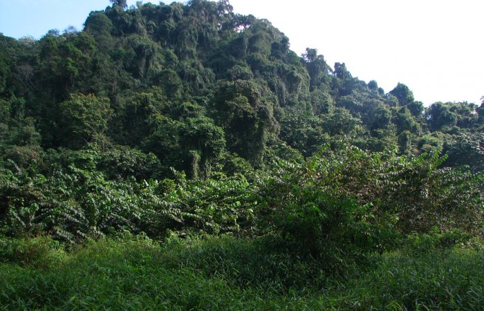 cuc phuong national park