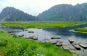 van long wetland nature reserve