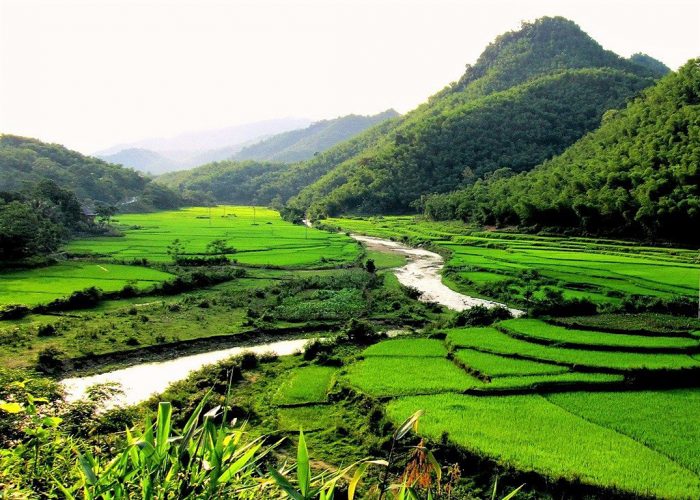 Mai Chau rice paddies and mountain view